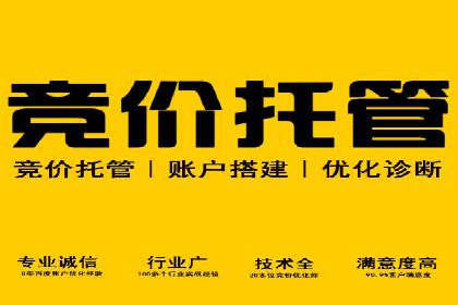 案例研究：SEM代运营服务公司的创新策略
